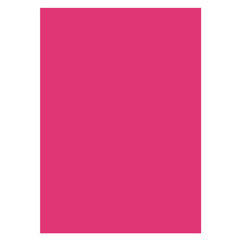 Aperturee - Rose Red Solid Color Photo Booth Backdrop For Studio