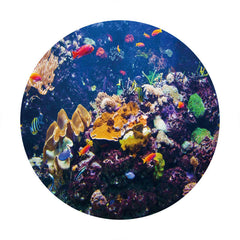 Aperturee - Round Under Sea World With Fish Coral Backdrop