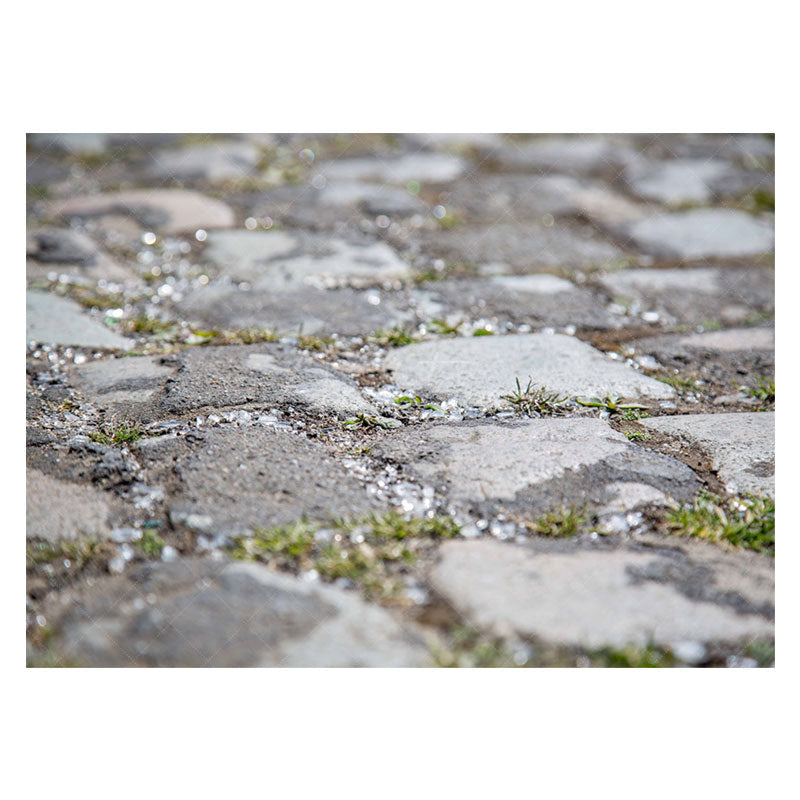 Aperturee - Rustic Gravel Weeds Bokeh Rubber Floor Mat For Photo