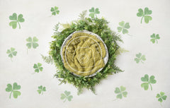 Aperturee - Shamrock St Patricks Day Photography Backdrop For Newborn Photoshoots