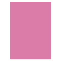 Aperturee - Solid Pink Portrait Backdrop For Photography Studio