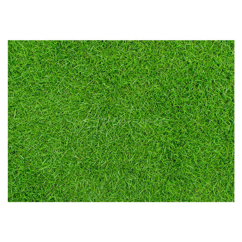 Aperturee - Spring Fresh Grass Lawn Rubber Floor Mat For Photo