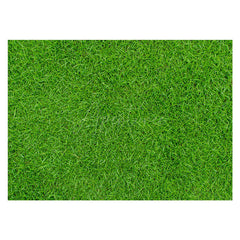 Aperturee - Spring Fresh Grass Lawn Rubber Floor Mat For Photo