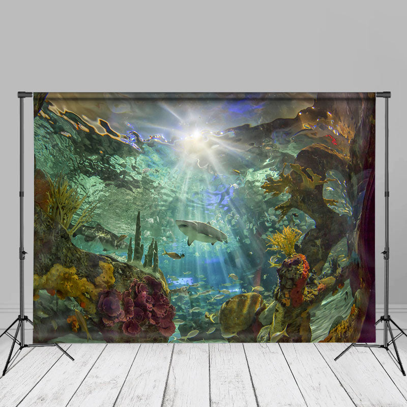 Aperturee - Sunshine Aquarium Beautiful Shark Summer Backdrop