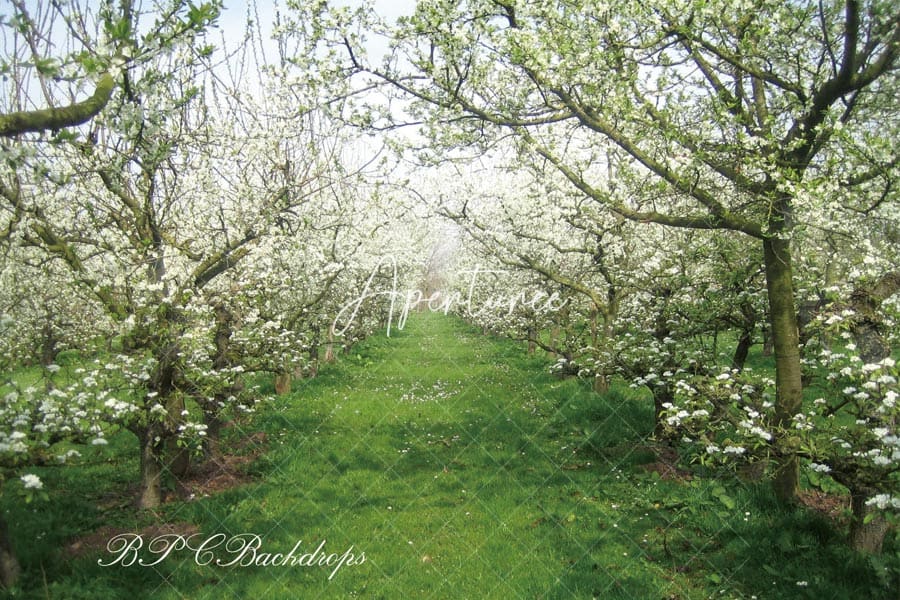 Aperturee - Blooming Flowers Apple Tree Spring Backdrop For Portrait