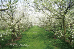 Aperturee - Blooming Flowers Apple Tree Spring Backdrop For Portrait