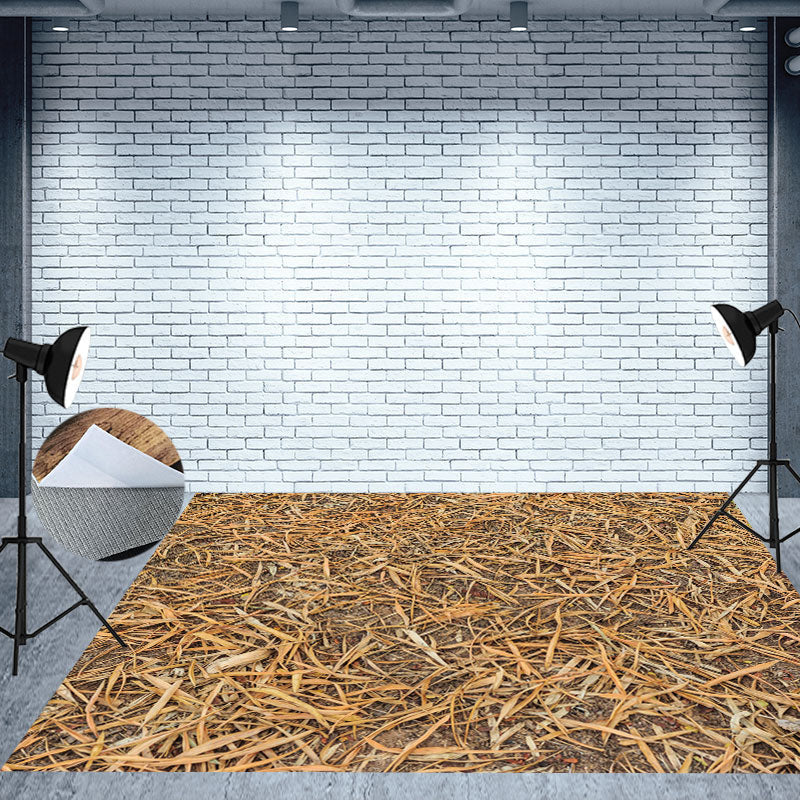 Aperturee - Test Farm Hay Dry Straw Pattern Floor Mat For Photography