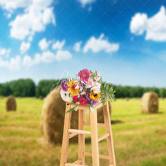 Aperturee - Valley Haystack Blue Sky Woods Photography Backdrop