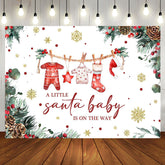 Aperturee - White Christmas Santa Baby Gender Reveal Backdrop