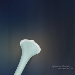 Aperturee - Antilles Blue Color Photography Backdrop For Studio