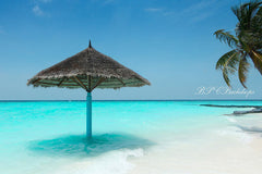 Aperturee - Beach Sandy Palm tree Portrait Photography Backdrop