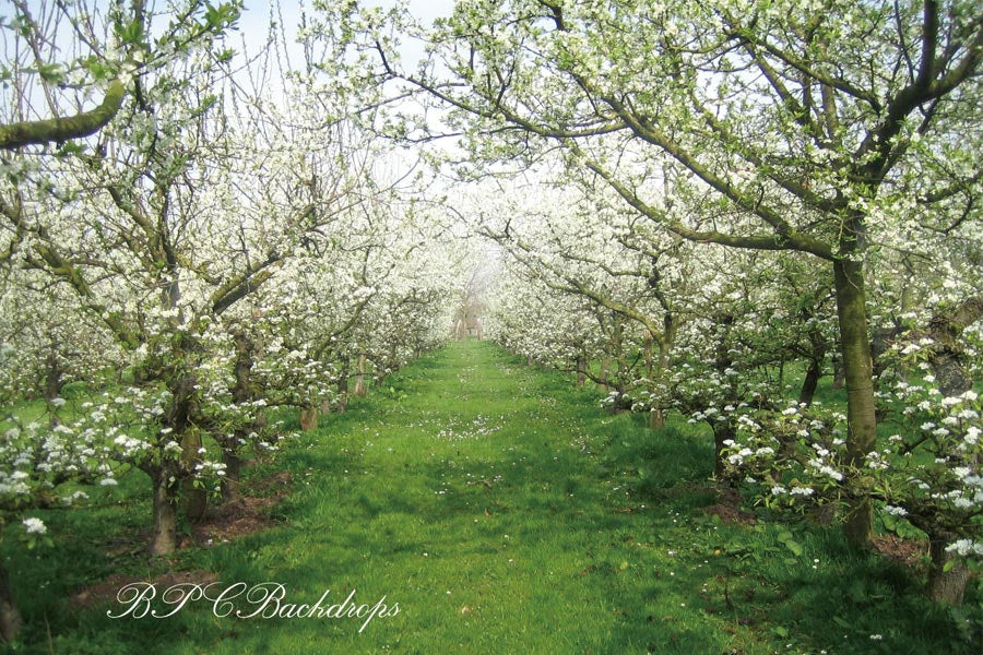 Aperturee - Blooming Flowers Apple Tree Spring Backdrop For Portrait