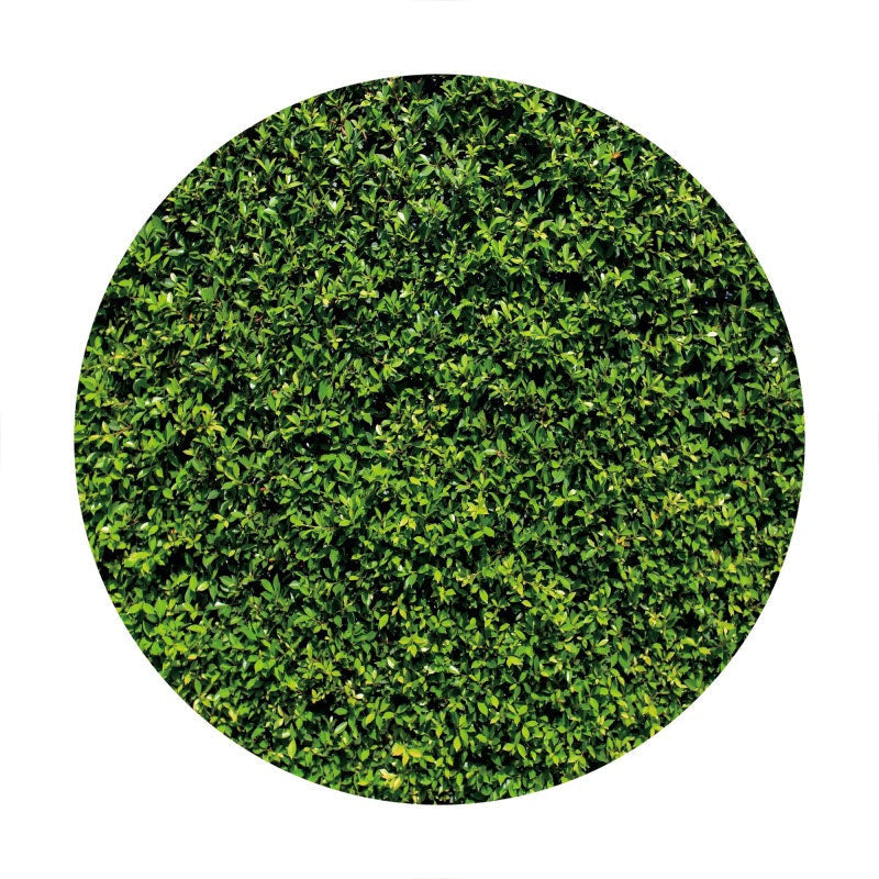 Aperturee - Bright Green Leaves Round Birthday Backdrop