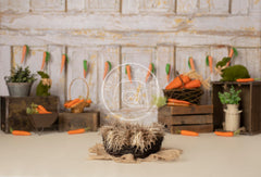 Aperturee - Carrot Newborn Easter Spring Vintage Rustic Photography Backdrop