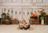 Aperturee - Carrot Newborn Easter Spring Vintage Rustic Photography Backdrop
