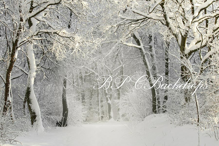 Aperturee - Christmas Winter Snow Snowy Forest Photography Backdrop