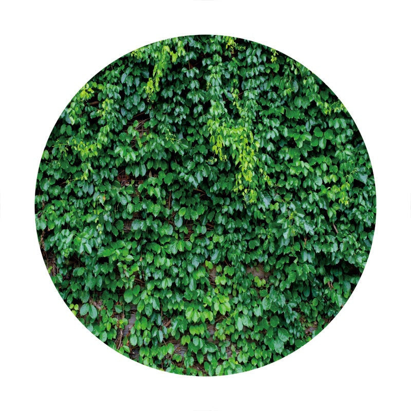 Aperturee - Dark Green Custom Round Birthday Party Backdrop
