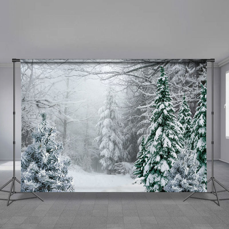 Aperturee - Foggy Wild Forest Trees Snowy Winter Backdrop