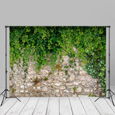 Aperturee - Green Plants Stones Wall Scene Spring Photo Backdrop