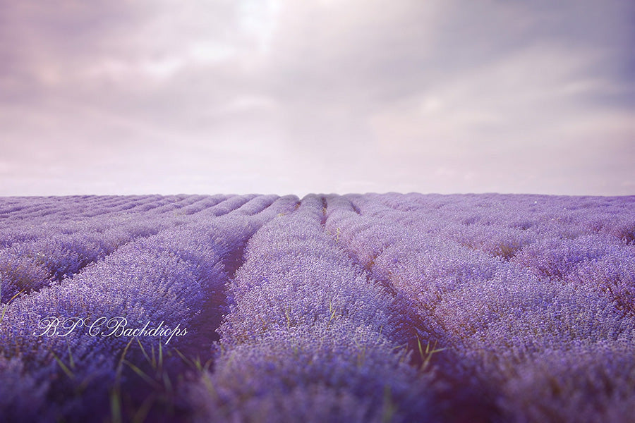 Aperturee - Lavender Field Spring Photography Backdrop For Portrait