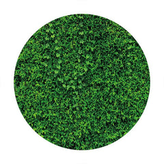 Aperturee - Nature Greeny Leaves Round Birthday Backdrop