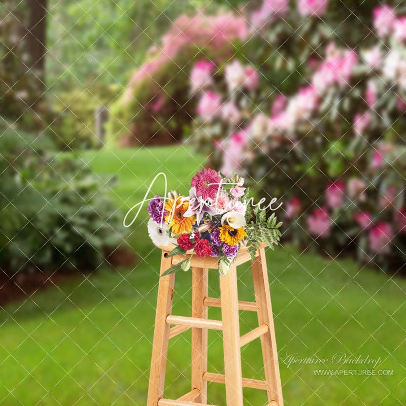 Aperturee - Pink Flowering Shrubs Grass Spring Backdrop Photo Ideas