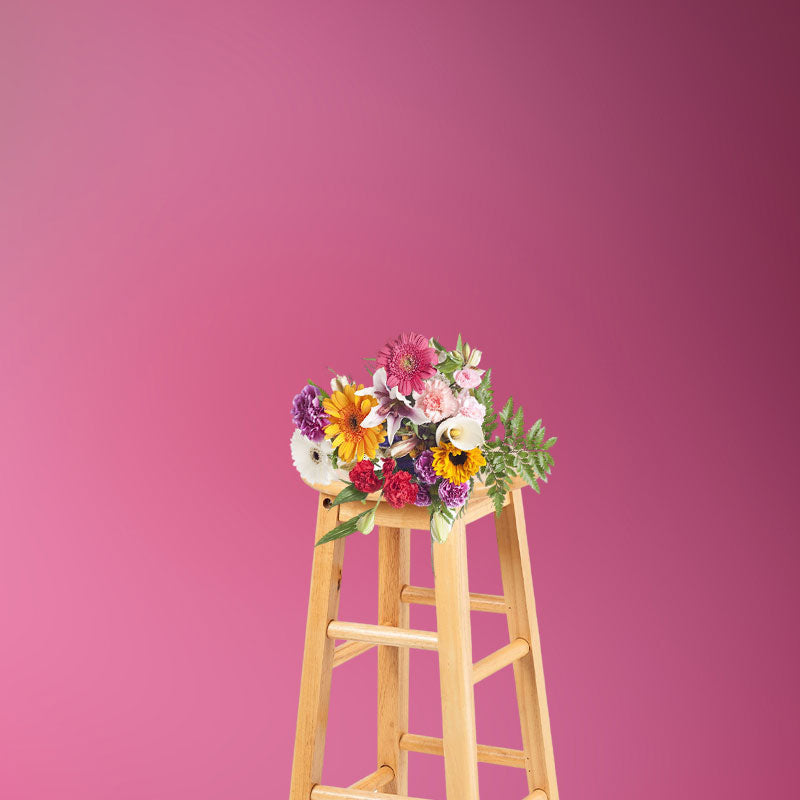 Aperturee - Roseate Gradient Color Professional Photo Backdrop