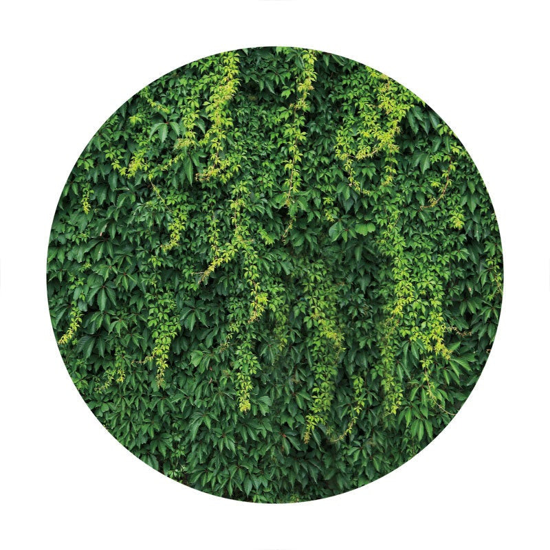 Aperturee - Simple Green Leaves Round Birthday Backdrop