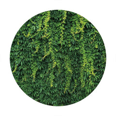 Aperturee - Simple Green Leaves Round Birthday Backdrop
