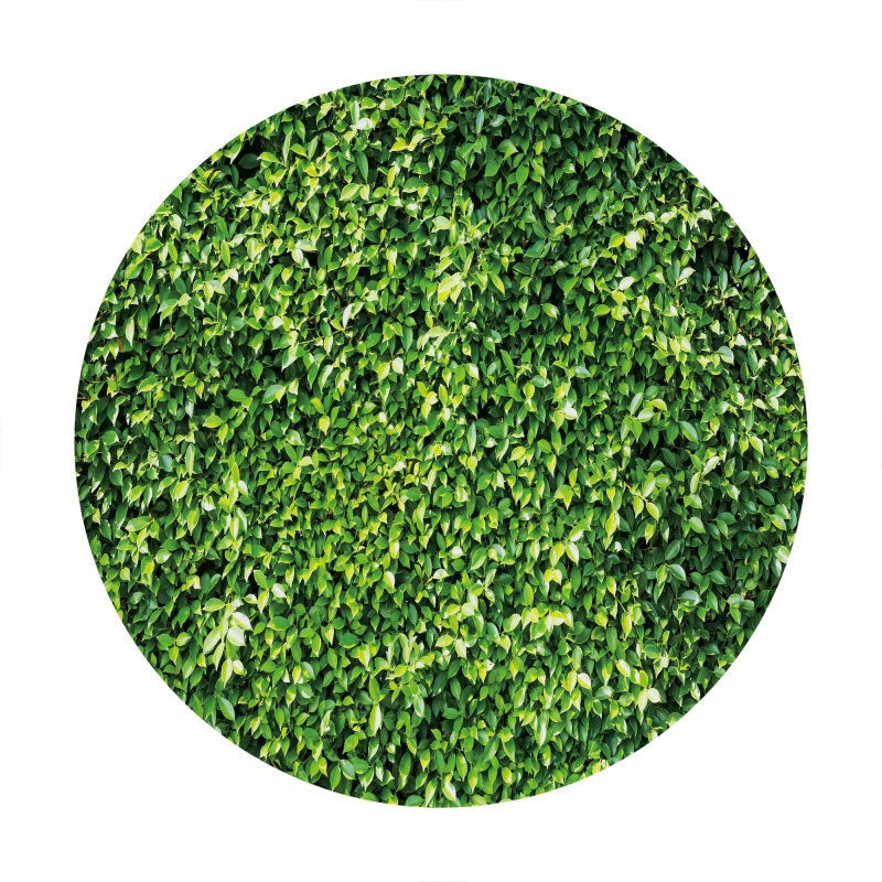 Aperturee - Simple Green Leaves Round Birthday Backdrops