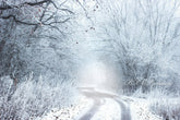 Aperturee - Snow Winter Wonderland Forest Photography Backdrop
