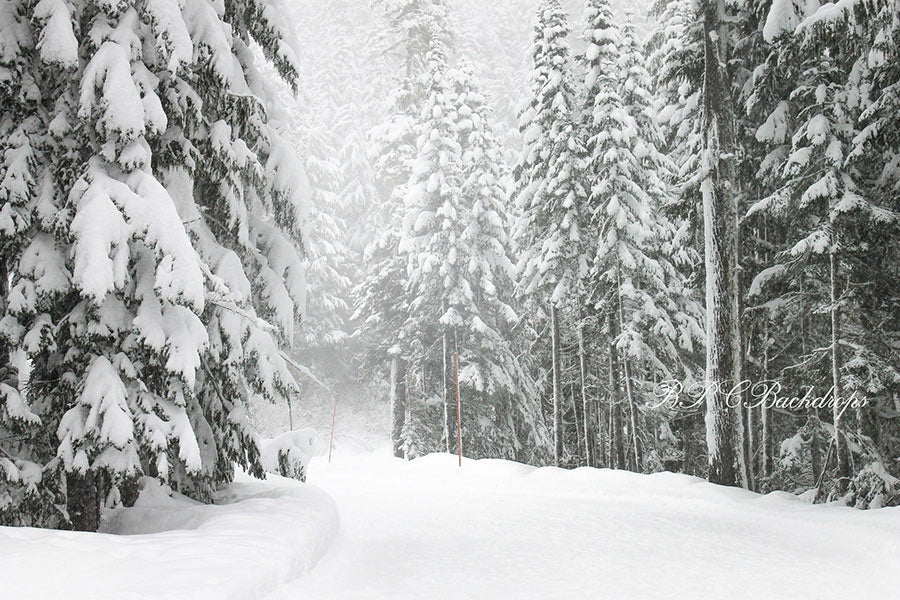 Aperturee - Snow Winter Wonderland Portrait Backdrop For Holiday