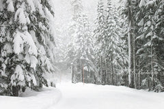 Aperturee - Snow Winter Wonderland Portrait Backdrop For Holiday