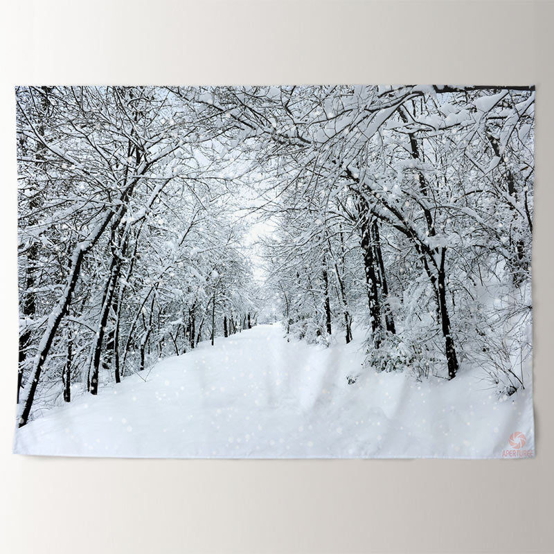 Aperturee - Snowy Lane Cold White Black Winter Scene Backdrop