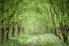 Aperturee - Spring Summer Flowers Forest Backdrop For Photo Booth