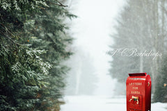 Aperturee - Winter Snowy forest Santa Mailbox Photography backdrop