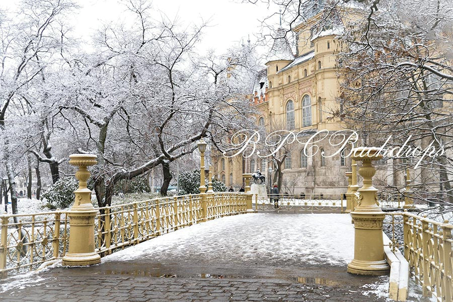 Aperturee - Winter Wonderland Snow Nature Chirstmas Backdrop
