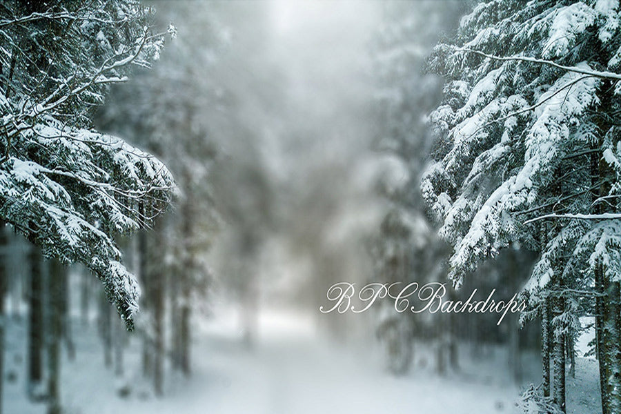 Aperturee - Winter Wonderland Snowy Trees Holiday Portrait Backdrop