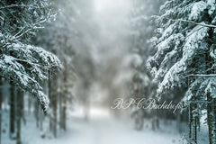 Aperturee - Winter Wonderland Snowy Trees Holiday Portrait Backdrop