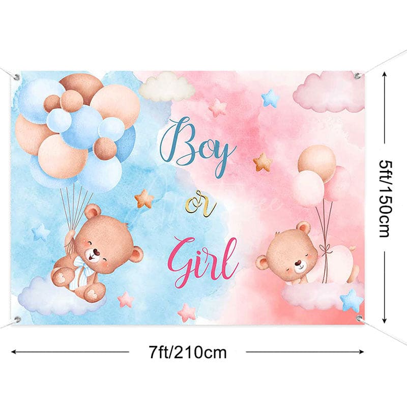 Aperturee - (7 Day Delivery) Aperturee Pink Blue Boy or Girl Gender Reveal Backdrop