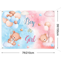 Aperturee - (7 Day Delivery) Aperturee Pink Blue Boy or Girl Gender Reveal Backdrop