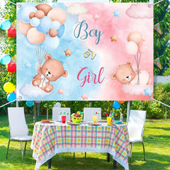 Aperturee - (7 Day Delivery) Aperturee Pink Blue Boy or Girl Gender Reveal Backdrop