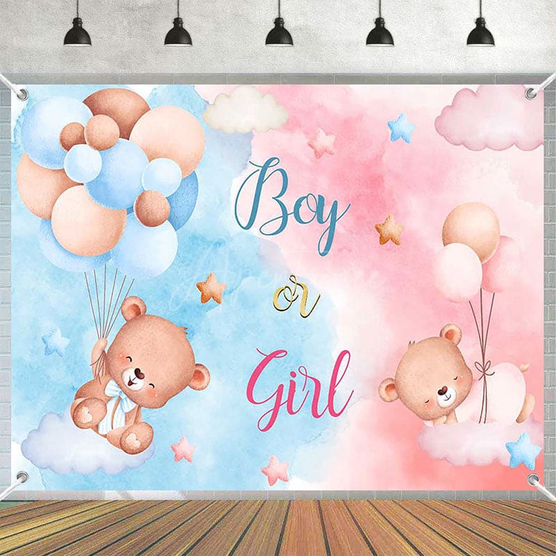 Aperturee - (7 Day Delivery) Aperturee Pink Blue Boy or Girl Gender Reveal Backdrop