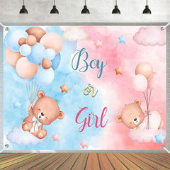 Aperturee - (7 Day Delivery) Aperturee Pink Blue Boy or Girl Gender Reveal Backdrop