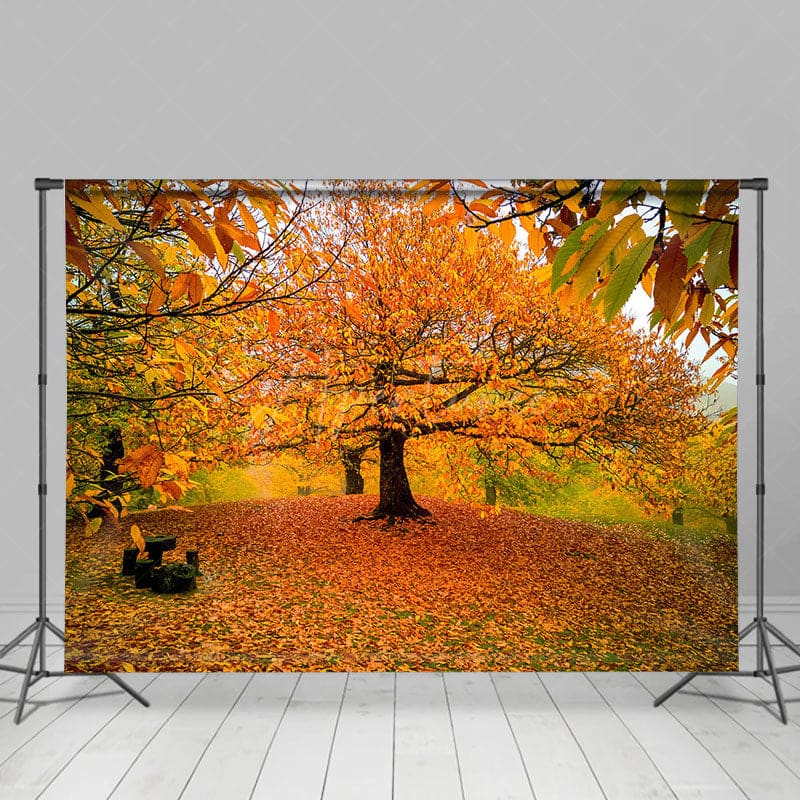 Aperturee - Aperturee Autumn Deciduous Forest Warm Photography Backdrop
