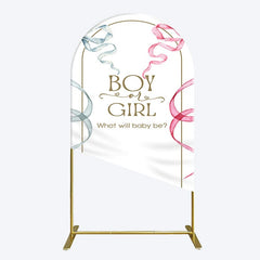 Aperturee - Aperturee Blue Pink Ribbon Boy Or Girl Baby Shower Arch Backdrop