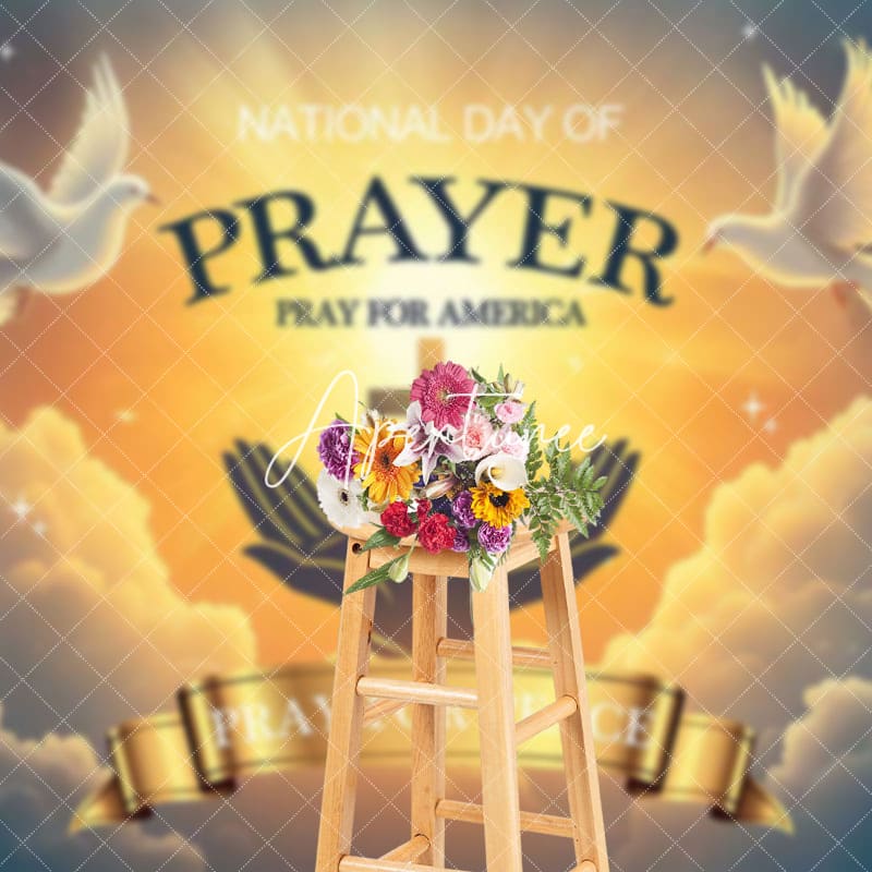 Aperturee - Aperturee Cloud Holy Light Pigeon National Prayer Day Backdrop