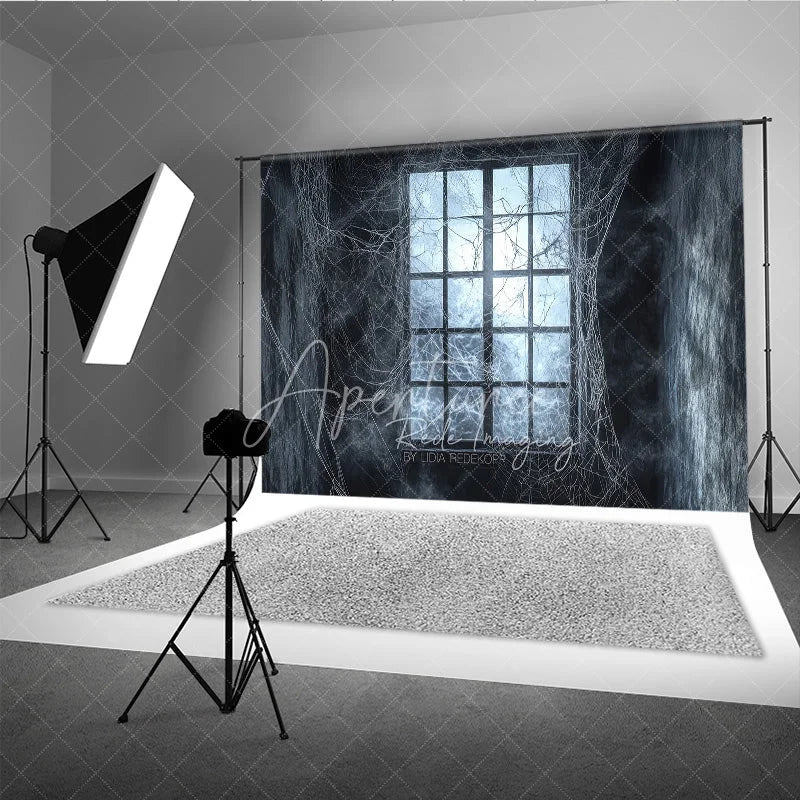 Aperturee - Aperturee Dark Haunted Window with Spiderwebs Holiday Backdrop Eerie Gothic Halloween Party Decor
