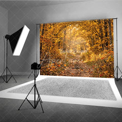 Aperturee - Aperturee Ethereal Golden Autumn Forest Photography Backdrop Sunlit Path with Falling Leaves for Seasonal Portraits