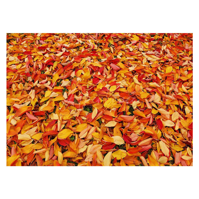 Aperturee - Aperturee Fallen Leaf All Over The Ground Floor Mat For Photo